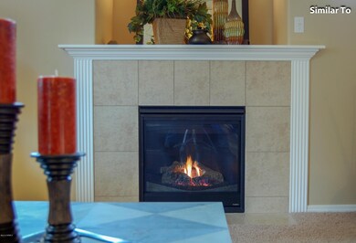 Fireplace with Alcove