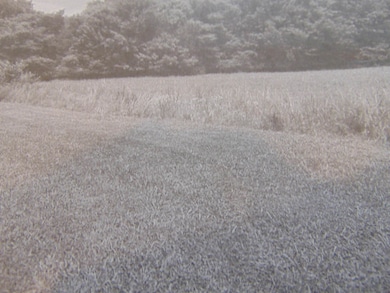 01 Green Meadow Rd NW, Huntsville, AL 35810 - photo 2