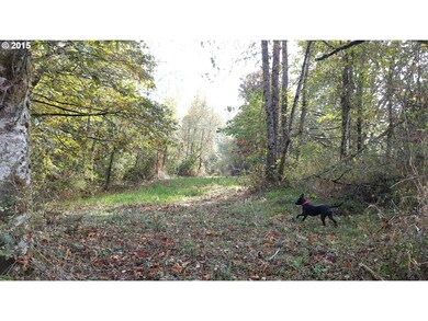 0 W 4th St, Rainier, OR 97048 - photo 4