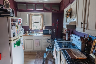 30 Plum St, Saunemin, IL 61769 - photo 3