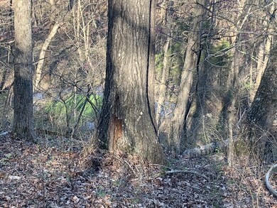 Tbd Scenic Valley, Shell Knob, MO 65747 - photo 7