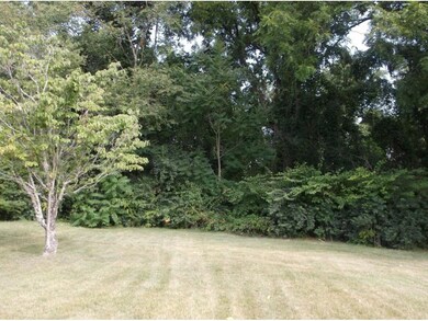 705 Hiwassee Hill Dr, Johnson City, TN 37601 - photo 4