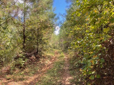 0 Chapel Hill Rd, Grenada, MS 38901 - photo 4