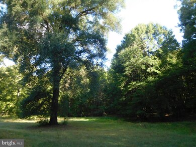 900 Spaniard Neck Rd, Centreville, MD 21617 - photo 5