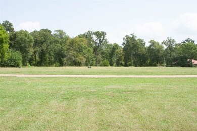 A view of your lot from the lake.