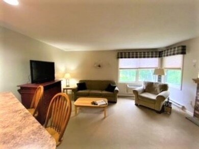 160 Deer Park Dr unit 147-2 A, Woodstock, NH 03262 - photo 2