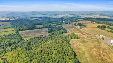 LOT 5 Waits Rd, Owego, NY 13827 - photo 7