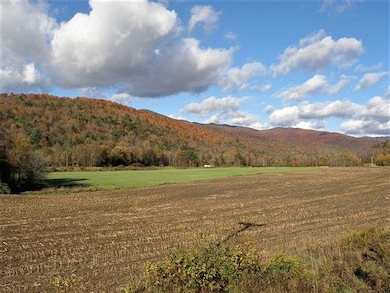 0 Route 12a, Roxbury, VT 05669 - photo 6