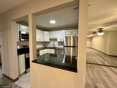 5645 Green Circle Dr unit 204, Minnetonka, MN 55343 - photo 5