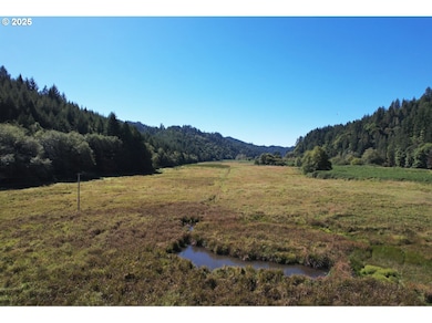 14443 Lower Smith River Rd, Reedsport, OR 97467 - photo 6