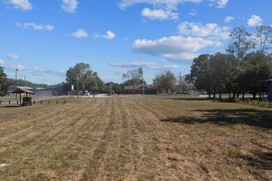 0 N Main St, Bell, FL 32619 - photo 6