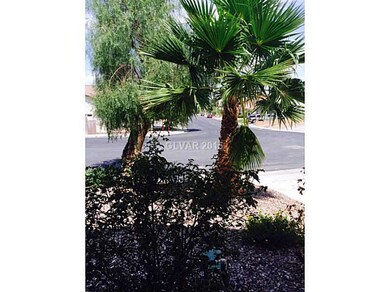 Yard/Garden.