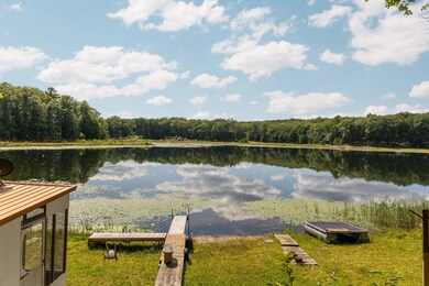 9027 S Carter Ave, Baldwin, MI 49304 - photo 4