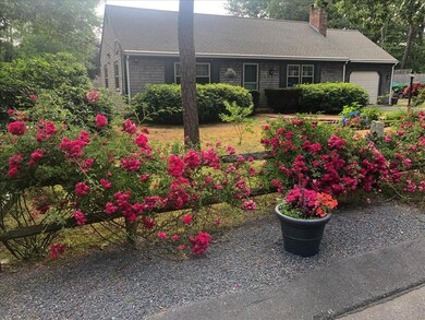 Front Summer In Bloom