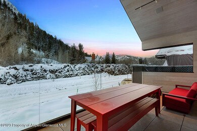 630 W Hopkins Ave, Aspen, CO 81611 - photo 6