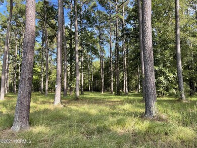 image_16886785