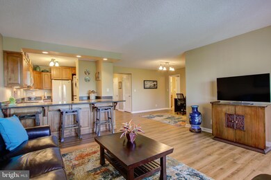 5901 Mount Eagle Dr unit 717, Alexandria, VA 22303 - photo 5
