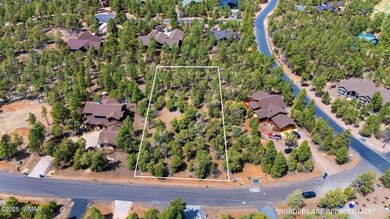 1760 S Monkshood Rd, Show Low, AZ 85901 - photo 5