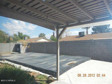 535 Backyard