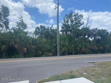 Tbd Canaveral Groves Blvd, Cocoa, FL 32926 - photo 4