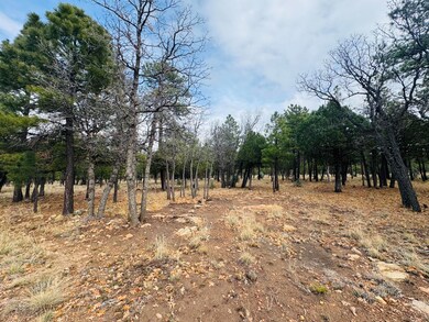 2793 Hummingbird Cir, Happy Jack, AZ 86024 - photo 7