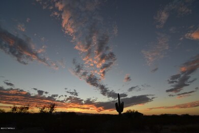 _DSC0345