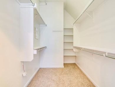 Spacious closet featuring light carpet