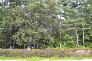 0 Davis Hill Rd, Conway, NH 03813 - photo 5