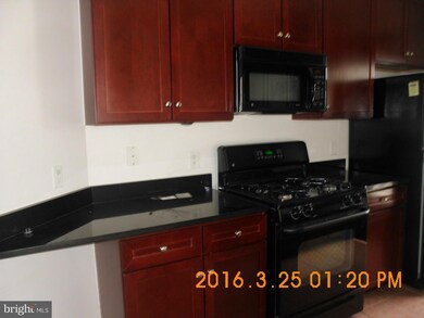 8045 Newell St unit 507, Silver Spring, MD 20910 - photo 4