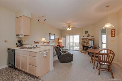 2521 Wolf Laurel Rd unit 106, Mars Hill, NC 28754 - photo 4