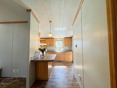 Entry to Kitchen