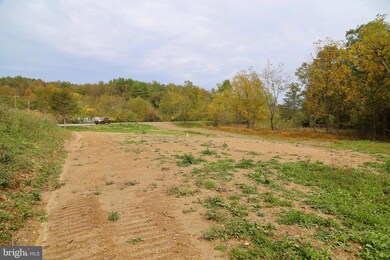 0 3 03 Ac Off Rt 259 Cove Mountain Rd unit WVHD2001754, Mathias, WV 26812 - photo 6