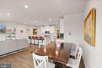 46320 Mount Milstead Terrace unit 301, Sterling, VA 20164 - photo 4