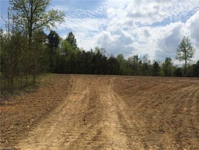 0 Holman Mill Rd unit 792585, 8, Newlin, NC 27349 - photo 7