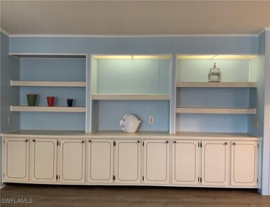 Multitude of Shelves & Storage Cabinets
