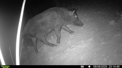 0 Cameron Ln, Fowlerton, TX 78021 - photo 6