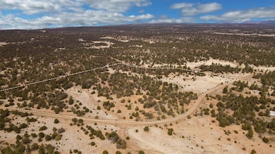 Dove Valley Rd, Pie Town, NM 87827 - photo 3