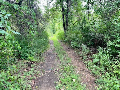 0 Benjamin Franklin Hwy, Ebensburg, PA 15931 - photo 5