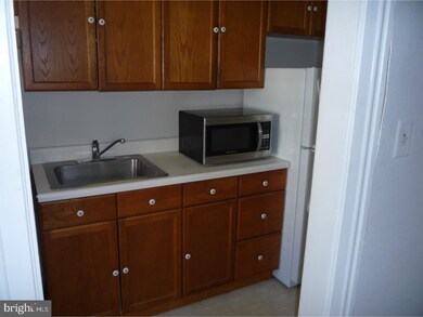 20 E Oakland Ave unit 2 W, Doylestown, PA 18901 - photo 4