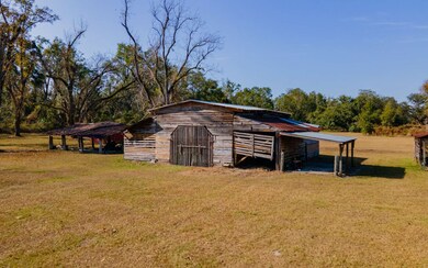 7091 River Rd, Live Oak, FL 32060 - photo 6