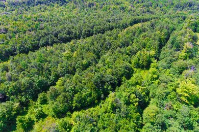 0 N Littleton Rd unit 4757433, Littleton, NH 03561 - photo 4