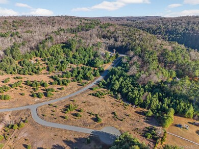 0 Marsh Rd unit KEY935326, Fallsburg, NY 12738 - photo 6