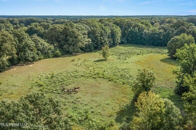 Pasture