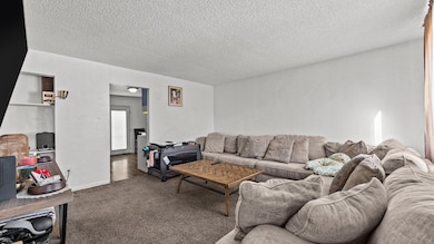 577 1/2 Plainview Ct, Grand Junction, CO 81504 - photo 5