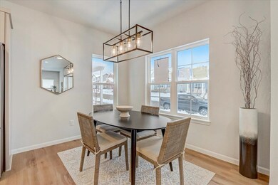 4869 Jicama Rd, Fitchburg, WI 53711 - photo 5