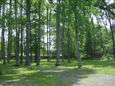 DSC04449