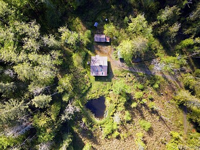 1022 Carl Johnson Rd, Quilcene, WA 98376 - photo 5