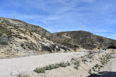DSC_0454
