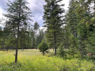 Nhn Montana 200, Trout Creek, MT 59874 - photo 4