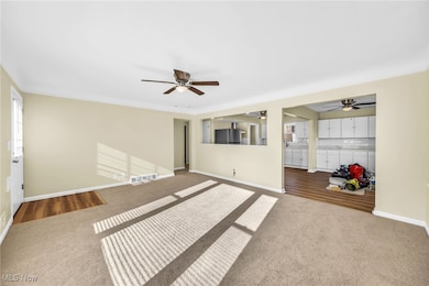 13984 Settlement Acres Dr, Brook Park, OH 44142 - photo 4